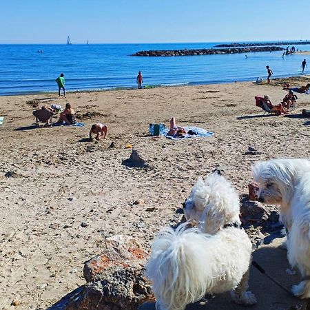 Front De Plage Palavas-les-Flots Extérieur photo
